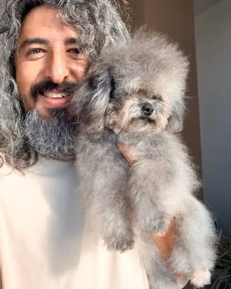 Barboncino teacup stallone asiatico maschio 14