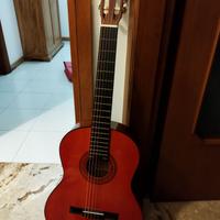 Chitarra acustica