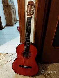 Chitarra acustica