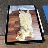 iPad Air M2 WI-fi + 5G, 128 GB +2cover/tast e Pen
