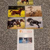Immagini/mini poster cavalli