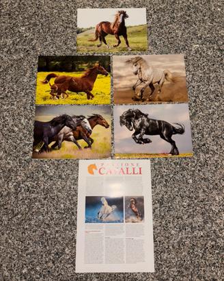 Immagini/mini poster cavalli