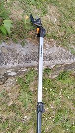 Tagliarami telescopico
