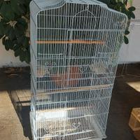 Gabbia  voliera 
