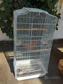 Gabbia  voliera 
