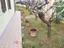 Immagine 12