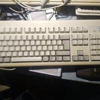 Vintage Tastiere IBM e Olivetti 