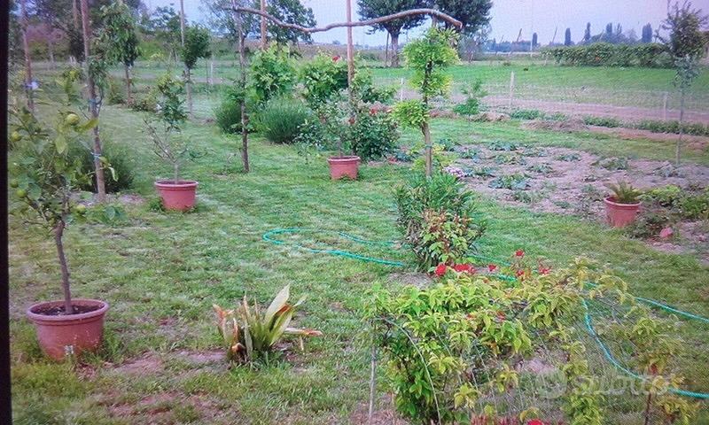 Casa – Este, Prà - Vista 2