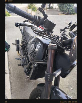 Benelli Leoncino 500