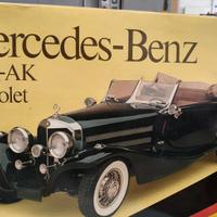 Modello da collezione