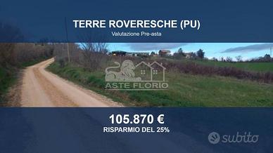 Immobile in asta di 70754 m² a Terre Roveresche