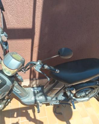 bici eletrica 250