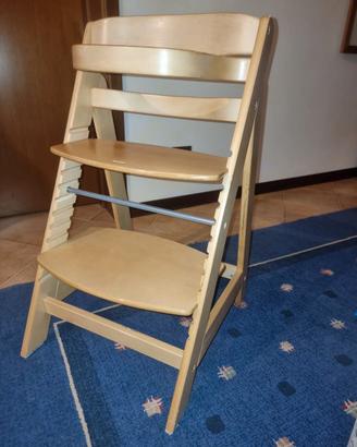 Seggiolone Evolutivo Sit Up - Roba