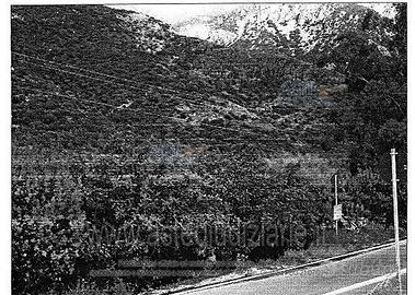Terreno Agricolo Maracalagonis [A184019]
