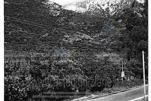 Terreno Agricolo Maracalagonis [A184019]
