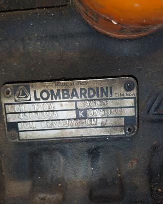 Motore diesel Lombardini LDV1204
