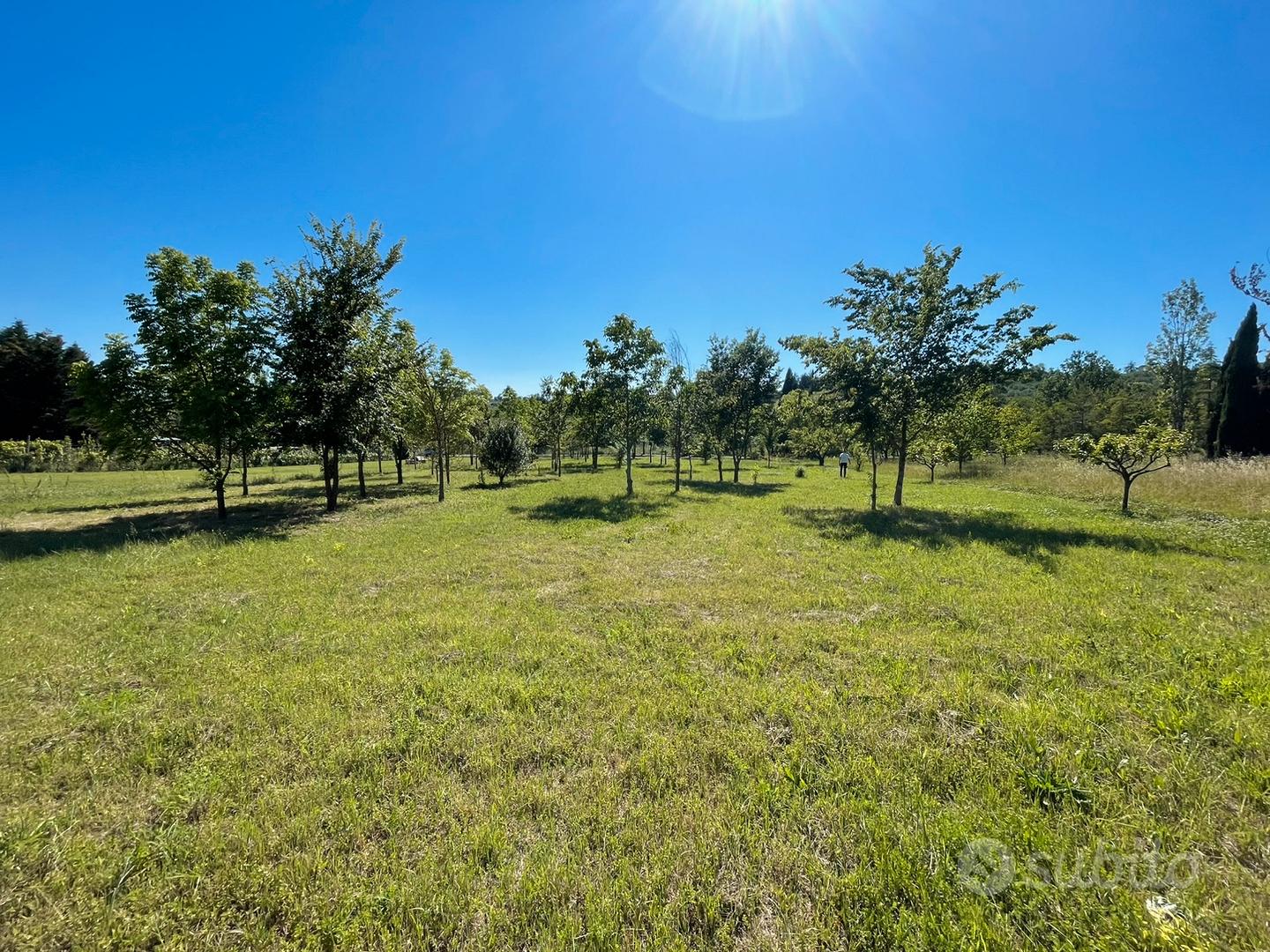 Terreno agricolo santaquilina - Vista 6