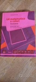 libri la matematica a colori 