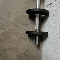 Set di bilancieri e pesi da palestra