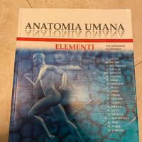 Anatomia umana