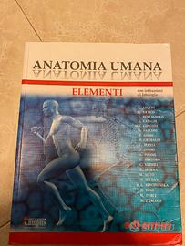 Anatomia umana