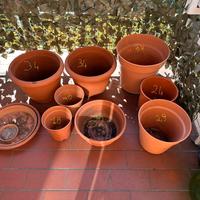 Vasi di vari dimensioni