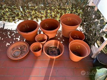 Vasi di vari dimensioni