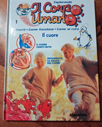 Collezione esplorando il corpo umano
