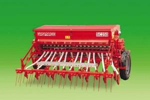 CercoInDonoDecespugl sandrigarden oGreencatHobygar