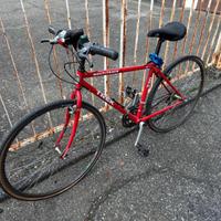 Bicicletta Trek 