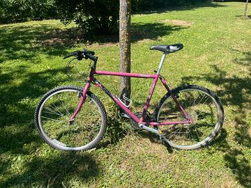 Bicicletta MTB ragazzo/ragazza Rossini Adventure