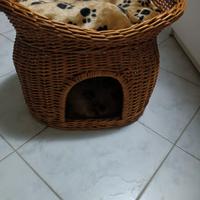 Cuccia per gatti in vimini