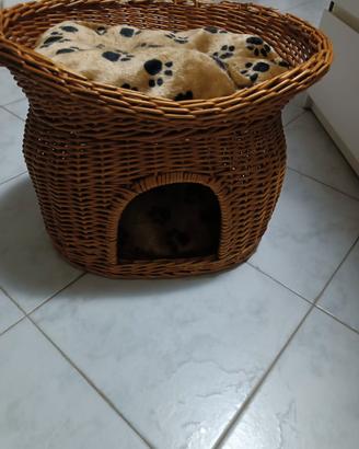 Cuccia per gatti in vimini