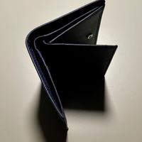 Portafoglio Carpisa, elegante e pratico