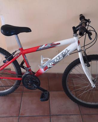 bicicletta ragazzo