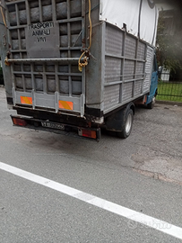 Camion per trasporto di animali