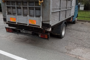 Camion per trasporto di animali