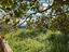 Immagine 27