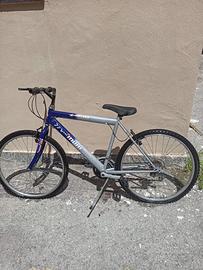 Bicicletta