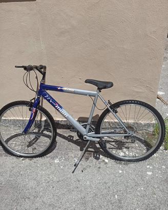 Bicicletta