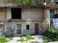 Immagine 11