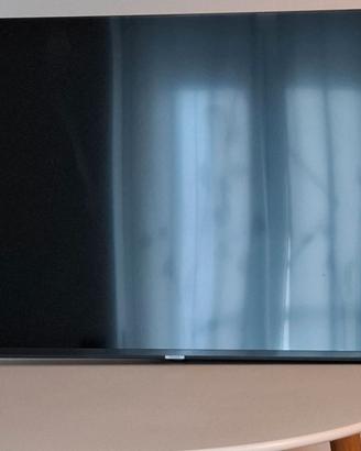 TV Samsung 55 pollici