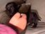 Immagine 1