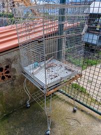 Voliera x Pappagalli 