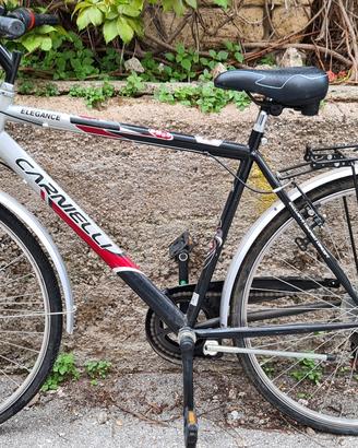 Bicicletta da passeggio