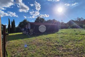 TER. AGRICOLO A FROSINONE