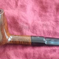 Pipa Salvatella 39