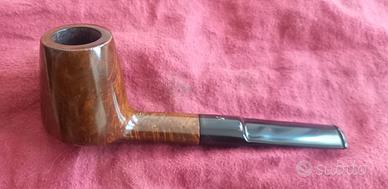 Pipa Salvatella 39