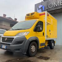 Fiat Ducato 2.3/DOPPIA CELLA/FRA/FRIGO/2018