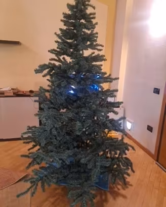 ALBERO DI NATALE